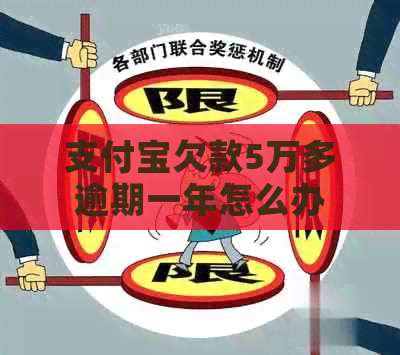支付宝欠款5万多逾期一年怎么办