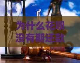 为什么花呗没有期还款选项