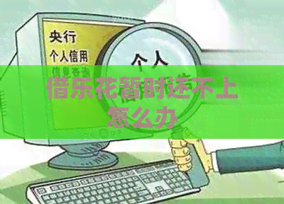 借乐花暂时还不上怎么办