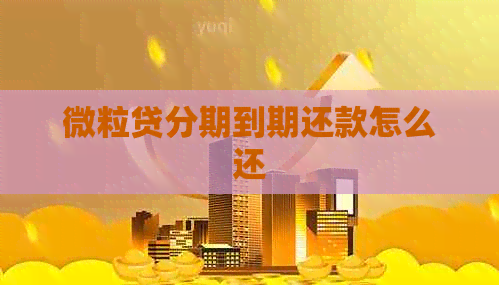 微粒贷分期到期还款怎么还
