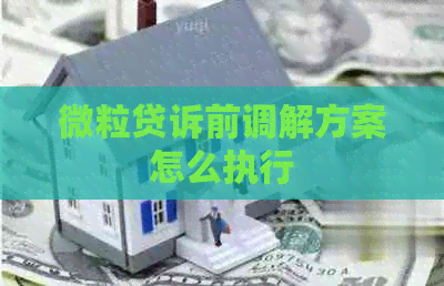 微粒贷诉前调解方案怎么执行