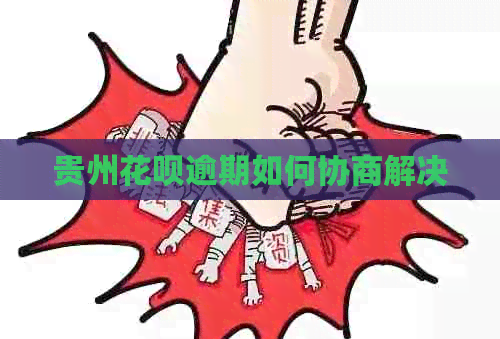 贵州花呗逾期如何协商解决