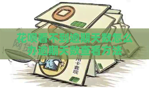 花呗看不到逾期天数怎么办逾期天数查看方法