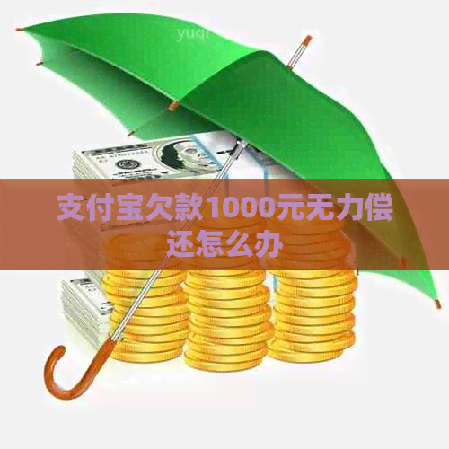 支付宝欠款1000元无力偿还怎么办