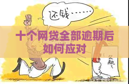 十个网贷全部逾期后如何应对