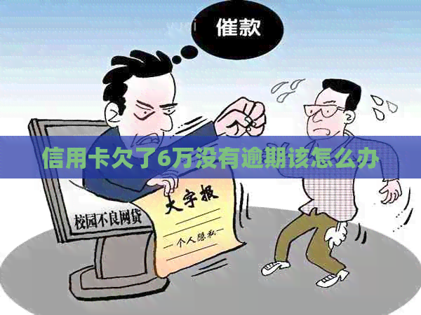 信用卡欠了6万没有逾期该怎么办