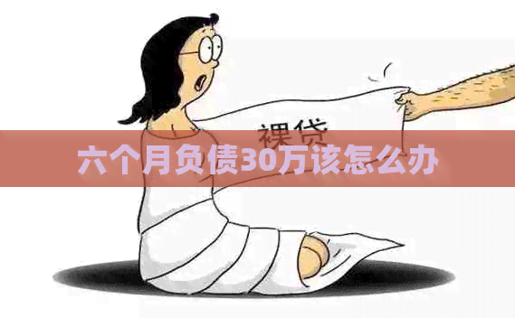 六个月负债30万该怎么办