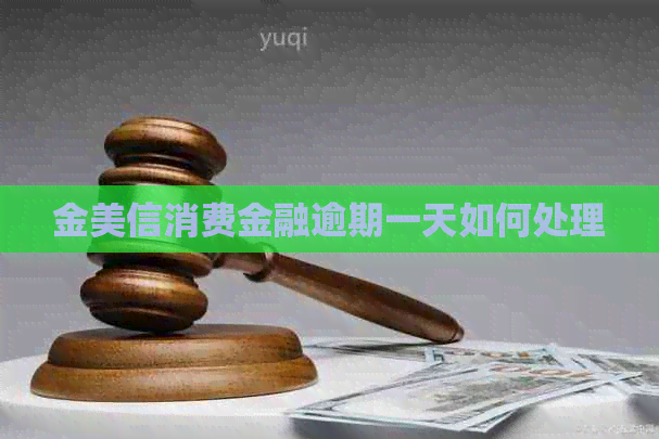 金美信消费金融逾期一天如何处理