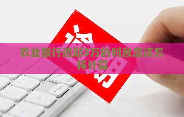 农业银行逾期3万的利息应该怎样计算