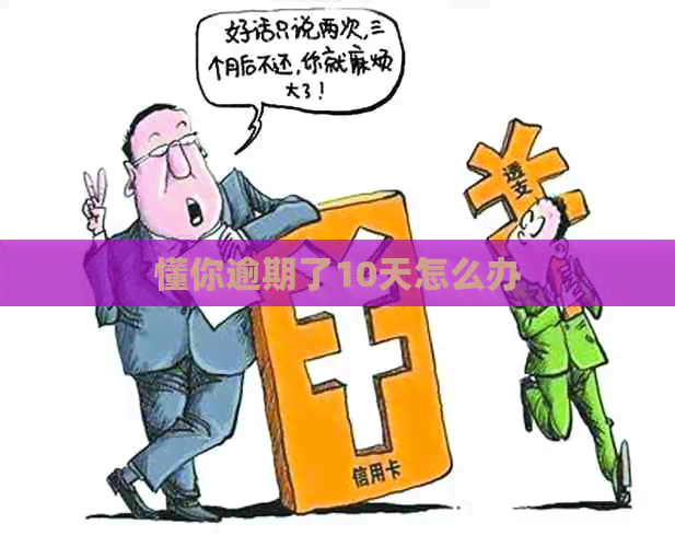懂你逾期了10天怎么办