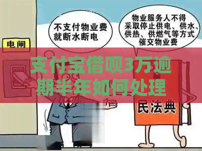 支付宝借呗3万逾期半年如何处理