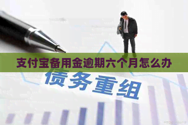 支付宝备用金逾期六个月怎么办