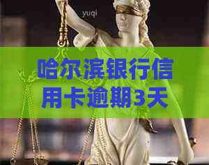 哈尔滨银行信用卡逾期3天如何处理