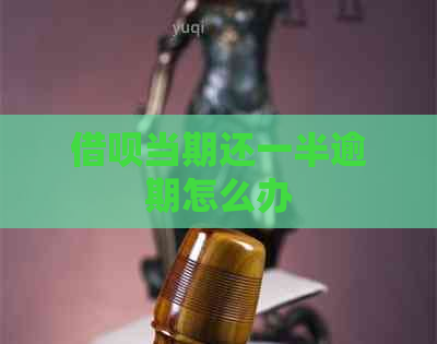 借呗当期还一半逾期怎么办