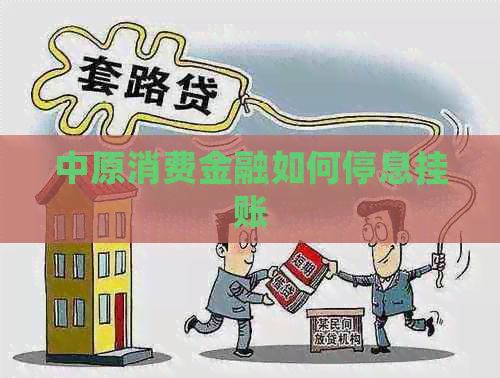 中原消费金融如何停息挂账