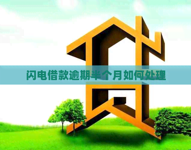 闪电借款逾期半个月如何处理