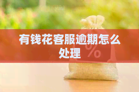 有钱花客服逾期怎么处理