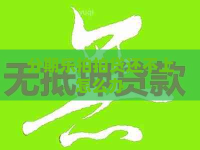 还不上怎么办