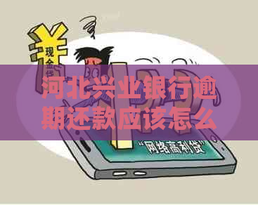 河北兴业银行逾期还款应该怎么处理