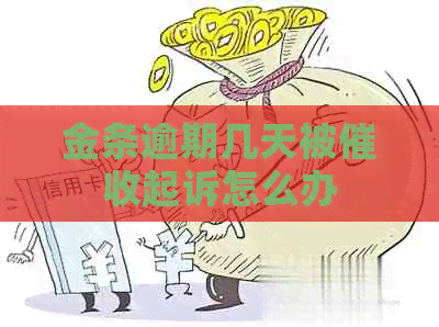 金条逾期几天被起诉怎么办