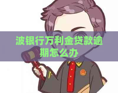 波银行万利金贷款逾期怎么办