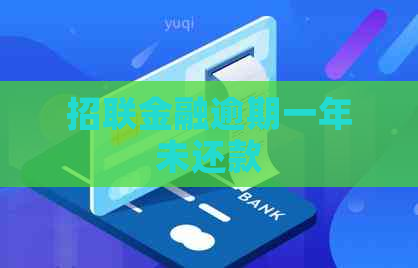 招联金融逾期一年未还款