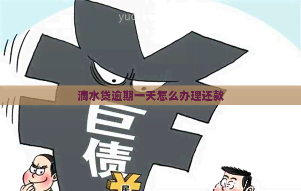 滴水贷逾期一天怎么办理还款