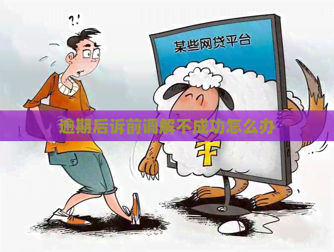 逾期后诉前调解不成功怎么办