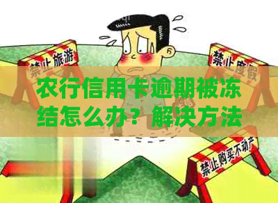 农行信用卡逾期被冻结怎么办？解决方法全面解析，让你轻松解冻！