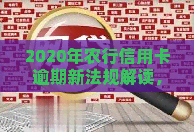 2020年农行信用卡逾期新法规解读，了解新规定，保护个人信用。