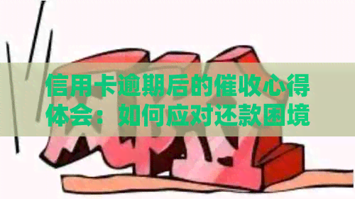 信用卡逾期后的心得体会：如何应对还款困境？