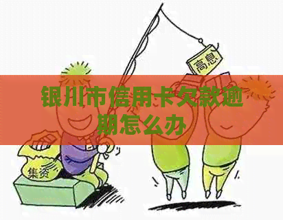 银川市信用卡欠款逾期怎么办