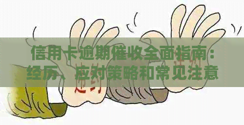 信用卡逾期全面指南：经历、应对策略和常见注意事项