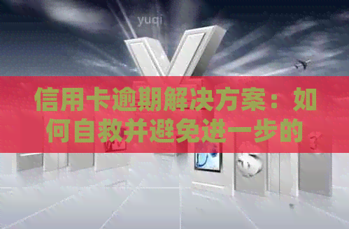 信用卡逾期解决方案：如何自救并避免进一步的法律和财务问题