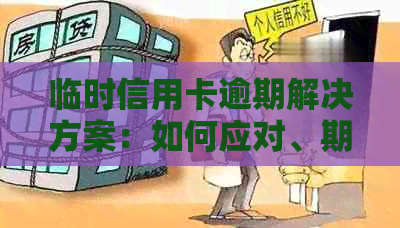 临时信用卡逾期解决方案：如何应对、期申请及修复信用记录全攻略