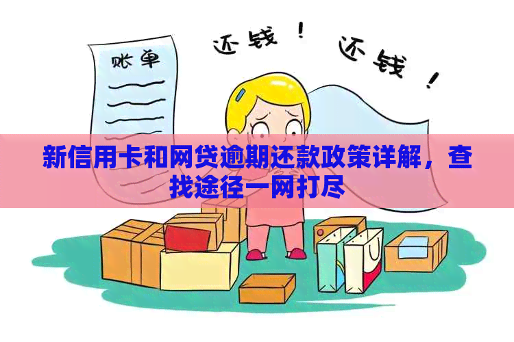 新信用卡和网贷逾期还款政策详解，查找途径一网打尽