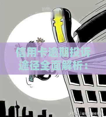 信用卡逾期投诉途径全面解析：电话投诉是否可行及其他有效方法