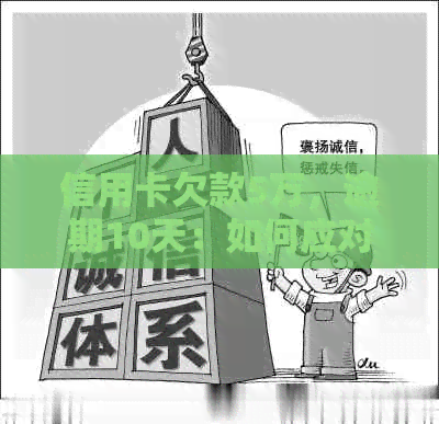 信用卡欠款5万，逾期10天：如何应对与解决？
