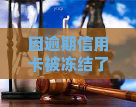 因逾期信用卡被冻结了还能解冻吗怎么办？-因逾期信用卡被冻结了还能解冻吗怎么办理
