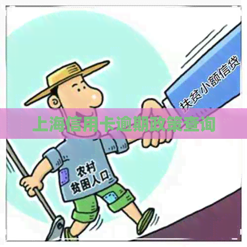 上海信用卡逾期政策查询