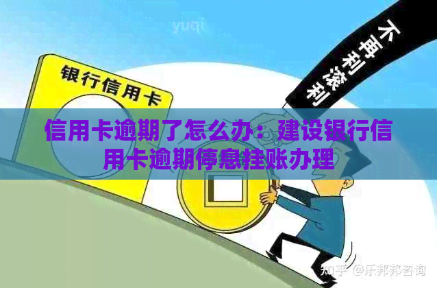 信用卡逾期了怎么办：建设银行信用卡逾期停息挂账办理