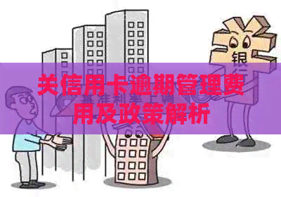 关信用卡逾期管理费用及政策解析