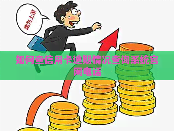 如何查信用卡逾期情况查询系统官网电话