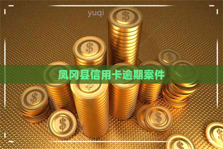 凤冈县信用卡逾期案件