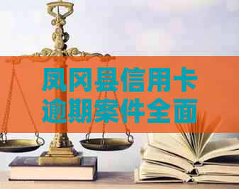 凤冈县信用卡逾期案件全面解析：原因、影响与解决方案