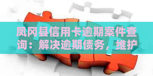 凤冈县信用卡逾期案件查询：解决逾期债务，维护信用权益