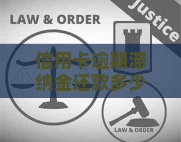 信用卡逾期滞纳金还款多少合适？