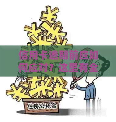 信用卡逾期前应如何应对？这里有全面的解决方案！