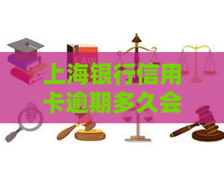 上海银行信用卡逾期多久会起诉：解决逾期疑问，拒绝协商方案