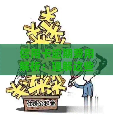信用卡逾期费用解析：理解这些关键点有助于避免额外的金融压力！